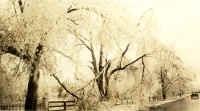 IceStorm_3_4_1940-4.jpg (104555 bytes)