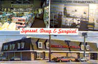 Syossetdrug.JPG (189632 bytes)