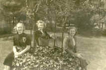 TodEstate-Carrie, Stella, Nellie.JPG (99357 bytes)
