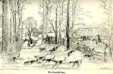 babcock_illustrations_7.jpg (81470 bytes)