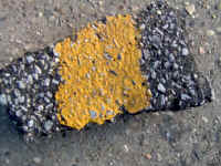 hill3.jpg (56230 bytes)