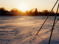 part1_19820407-8cE2.jpg (34934 bytes)