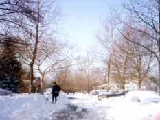 part1_19830212-1.jpg (59406 bytes)