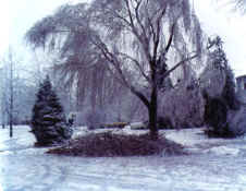 part1_SyossetIceStorm19780114-1.jpg (54240 bytes)