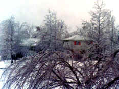 part1_SyossetIceStorm19780114-4.jpg (63844 bytes)