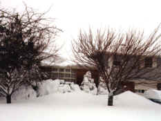 part1_SyossetNY19780207-2cropped2.jpg (45851 bytes)