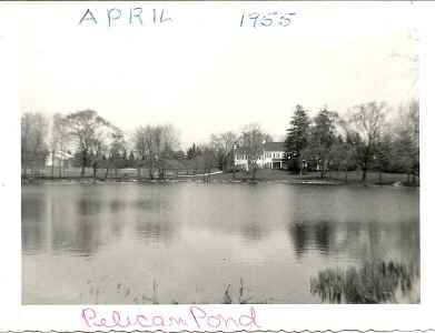 part1_pelican_pond_1955.jpg (60480 bytes)