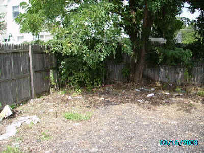 part1_possible_cemetery_site.jpg (137301 bytes)