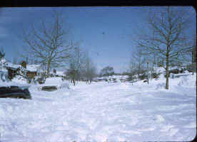 part1_sticker snow5.jpg (33007 bytes)