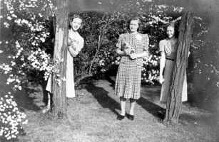 part7_carrie_stella_agnes_trees.jpg (84413 bytes)