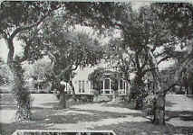 part7_egerton_winthrop3.jpg (57501 bytes)