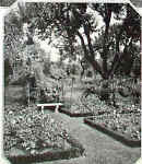 part7_egerton_winthrop4.jpg (44560 bytes)