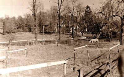 part7_syosset_estate.jpg (178863 bytes)