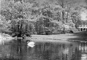 part7_tod_estate_pond_view.jpg (85258 bytes)
