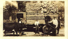 vancott1.jpg (124587 bytes)