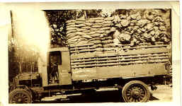 vancott2.jpg (133809 bytes)